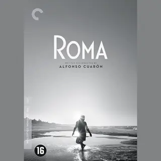 Warner Home Video Roma (Dvd) (Special Edition)