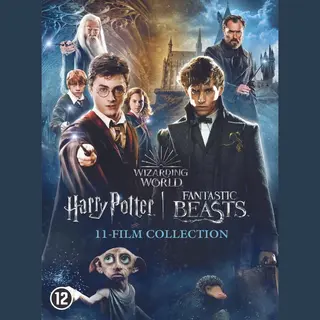Warner Home Video Harry Potter - 1 - 7.2 Collection + Fantastic Beasts 1 - 3 (Dvd)