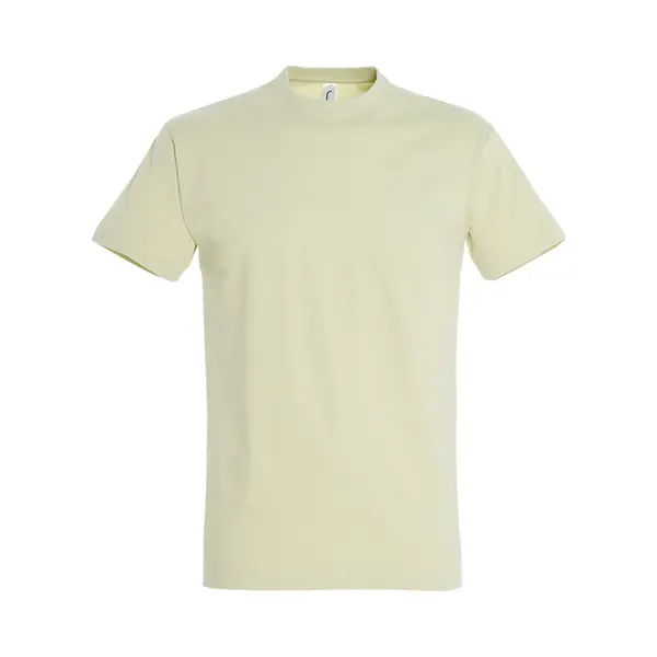 Sol'S Men's Imperial Heavyweight Short Sleeve T-Shirt In Pale Green | Size, Medium thumbnail