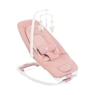 Joie Dreamer Rocker & Bouncer