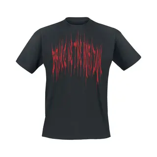 Bring Me The Horizon T-shirt - Praying Amen - S Tot Xxl - Voor Mannen - Zwart