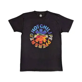 Rock Off officially licensed products Red Hot Chili Peppers T Shirt Californication Asterisk Nue Offiziell Herren M