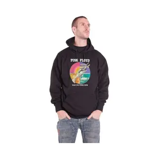 Rock Off officially licensed products Pink Floyd Wish You Were Here Circle Icons Pullover Hoodie L