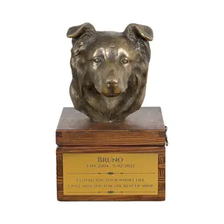 Urn voor hond Border Collie Urn Met Beeldje - Gepersonaliseerde Hondenurn Voor As