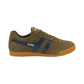 Gola Harrier