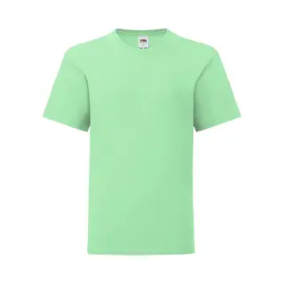 Fruit Of The Loom Iconic T-Shirt In Mint | Size, 12-13 Years