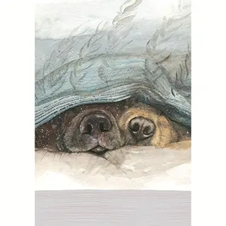 Alex Clark Snouts Dog Kitchen Tea Towel - 100% Cotton