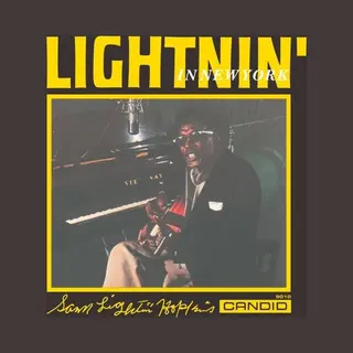 Pure Pleasure Lightnin Hopkins, In New York [Vinyl]