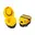 Geel