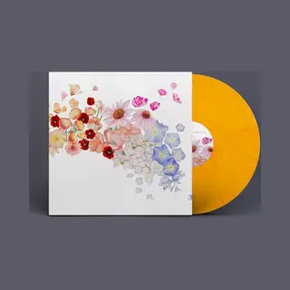 Edition records Flor [Vinyl Lp]