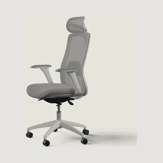Desktronic Adjustable Ergonomic Office Chair | Desk Chair With Headrest, Armrests, Lumbar Support, Height Adjustments - Designed For European Body -