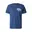 insignia blue