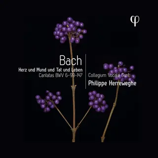 Phi Herz Und Mund Und Tat Und Leben - Bach, Cantatas BWV6-99-147
