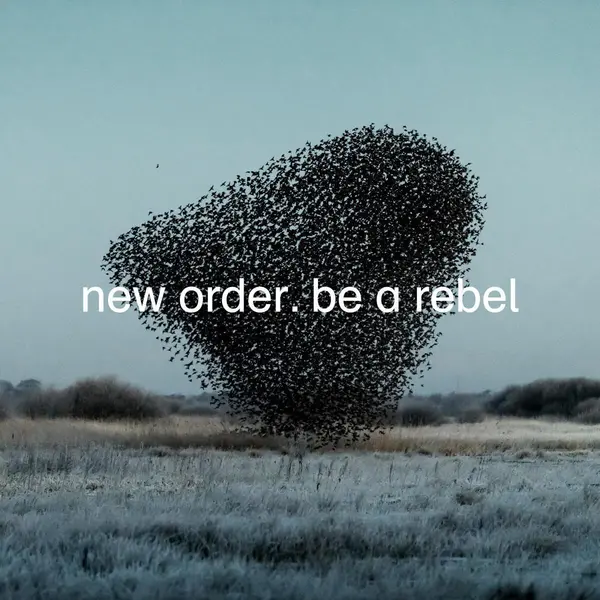 Bertus Distributie Be A Rebel (Lp) thumbnail