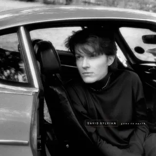Pias Nederland David Sylvian - Gone To Earth (2 Lp)