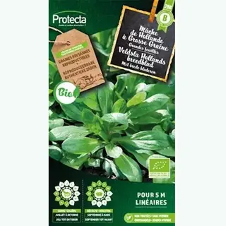 Protecta Groente Zaden, Veldsla Hollands Breedblad Bio