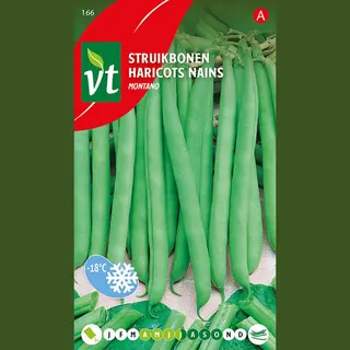 Arborix Montano Beans Seeds Per Gram - Fleshy Pods - 50 G - Seeds Per Gram, 6