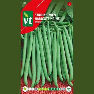 Vt Bonen Ampere - Fijne, Knapperige Boontjes Van 14-15 Cm Lang