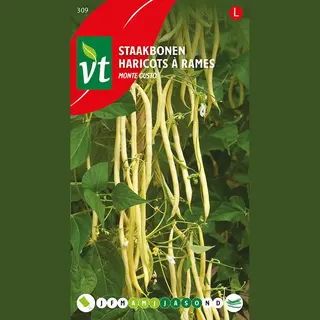 Arborix Monte Gusto Beans Seeds Per Gram - Tasty Golden Yellow Beans - 25 G - Seeds Per Gram, 3