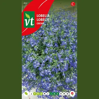 Vt Lobelia Cascade Zaden - Langdurig Bloeiende Borderplant