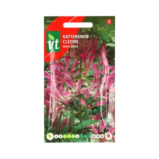 Vt Kattensnor Mauve Queen Zaden - Prachtige Paarse Bloemen Voor Borders En Bloembedden