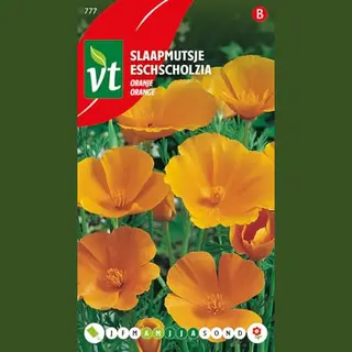 Vt Slaapmutsje 'Oranje' - Papaverachtige Bloemen Met Blauwgroen Blad