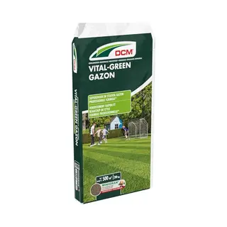 Dcm Gazonmeststof 20kg Voor 500m² - Vital Green