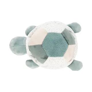 Nattou 875097 Aktivitätenschildkröte, Grün