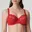 Scarlet;Rood