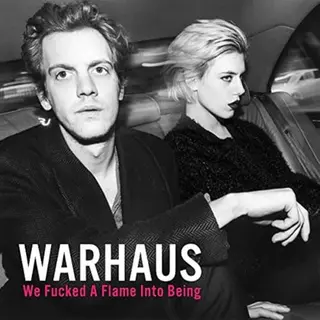 Play It Again Sam We Fucked A Flame Into Being [Vinyl]