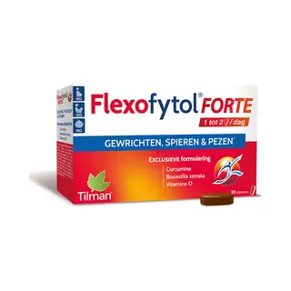 Tilman Flexofytol Forte - 28 Tabletten