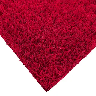 EGrass Deurmat Rainbow Carmine Red - 44x66cm - Rood - 25mm - Grasmat - Doormat - Schoonloopdeurmat - Schoonloopmat - Inloopmat – Voordeur – Door