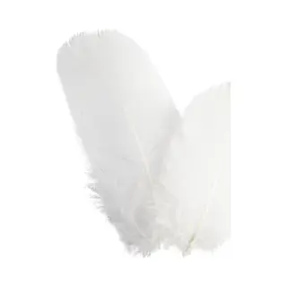 Creativ Company Goose Feathers, Round