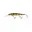 Real Perch