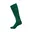 Evergreen/White