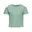 Birds Egg Green