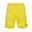 Blazing Yellow