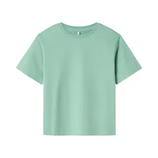 Name It Nkmvobbo Ss Nreg Top Noos Jongens T-shirt - Creme De Menthe
