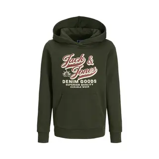 Jack & Jones Junior Jjelogo Sweat Hood 2 Col Aw25 Noos Jnr