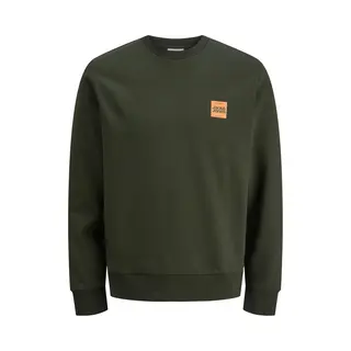 Jack & Jones Jjbrandy Sweat Crew Neck
