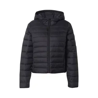 Only Female Steppjacke Onltahia Steppjacke