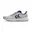 Lunar Rock