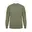 Deep Lichen Green