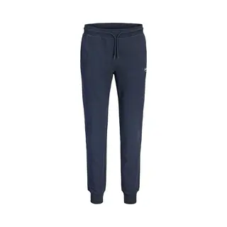 Jack & Jones Hose JPSTGordon