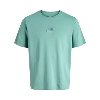 Jack & Jones T-Shirt