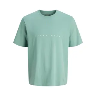 Jack & Jones Junior T-Shirt Jjestar