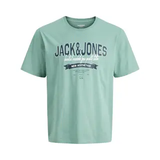 Jack & Jones Junior Shirt 'Jjelogo' Pastelgroen / Wit