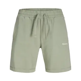 Jack & Jones Shorts JPSTKarl Norrebro