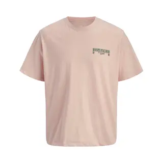 Jack & Jones T-Shirt Jorwatercolour