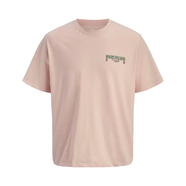 Jack & Jones T-Shirt Jorwatercolour thumbnail